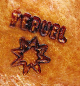 Logo Bezeichnung Herkunft Teruel