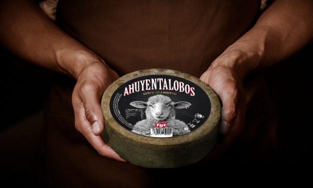 Ahuyentalobos-Käse: der schlechteste Käse im Roncal-Tal