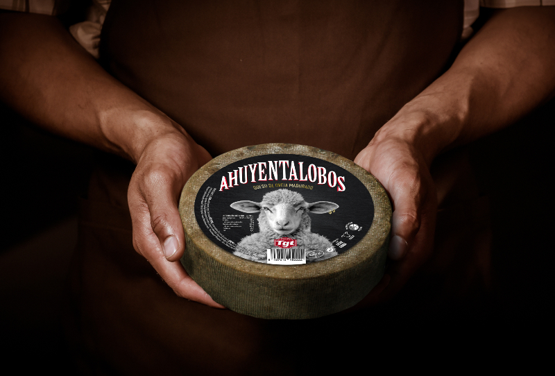 Ahuyentalobos-Käse: der schlechteste Käse im Roncal-Tal